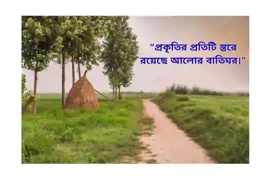 গ্রামের প্রকৃতি নিয়ে ক্যাপশন