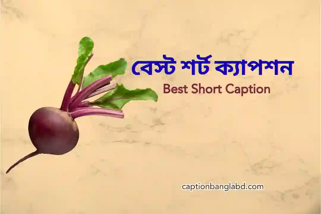 বেস্ট শর্ট ক্যাপশন