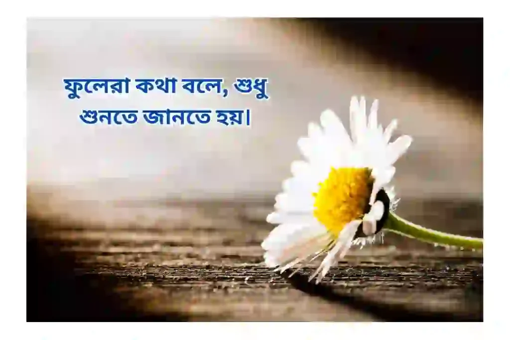 প্রকৃতি নিয়ে ক্যাপশন বাংলা কবিতা