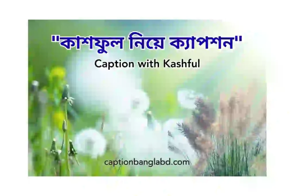 900+ কাশফুল নিয়ে ক্যাপশন। Kashful niya caption -2026