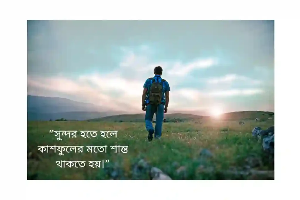 কাশফুল নিয়ে ক্যাপশন attitude