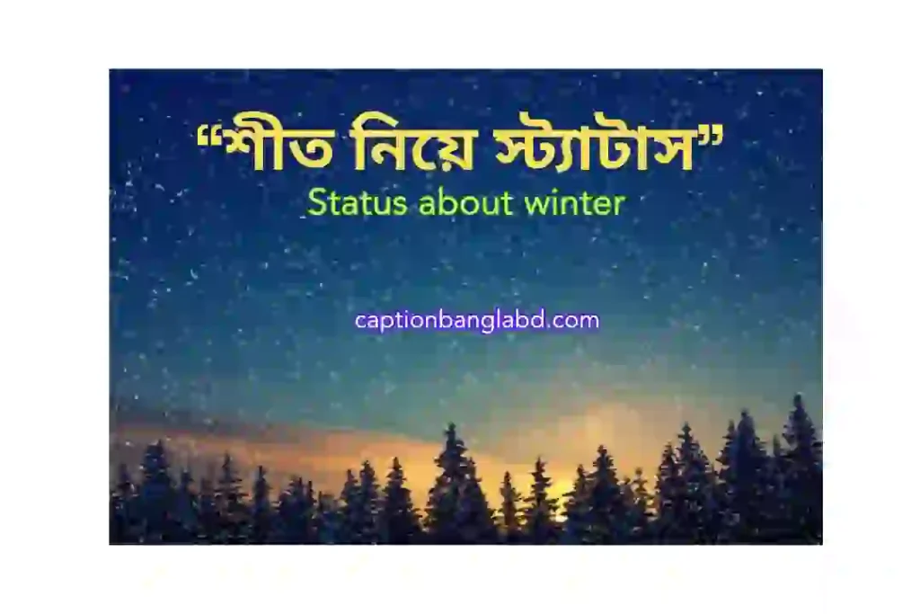 600+ ইউনিক শীত নিয়ে স্ট্যাটাস। Status about winter -2026