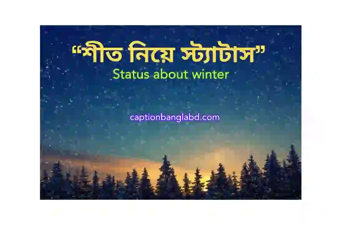 শীত নিয়ে স্ট্যাটাস