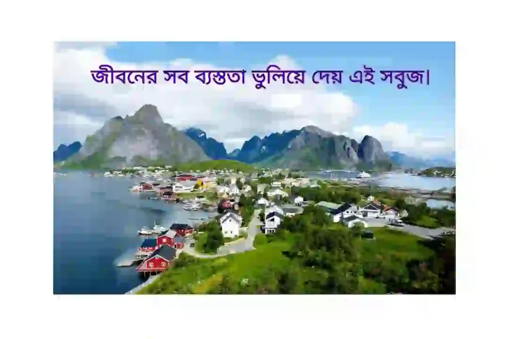 সবুজ শ্যামল প্রকৃতি নিয়ে ক্যাপশন