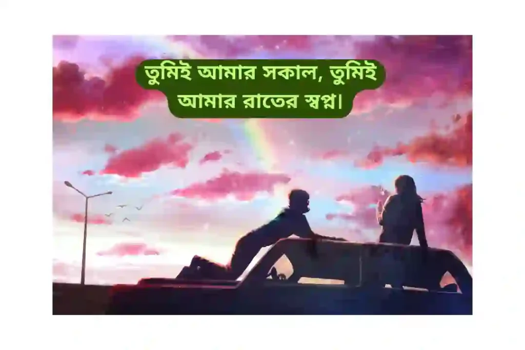 প্রেমের স্ট্যাটাস পিক