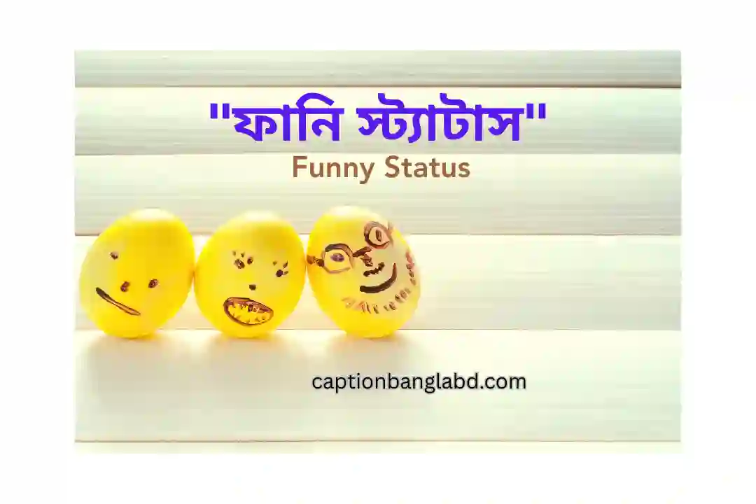 ফানি স্ট্যাটাস