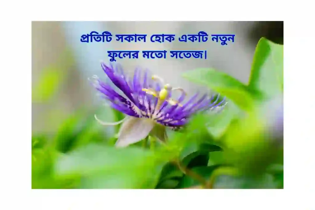 ফুল নিয়ে ক্যাপশন বাংলা