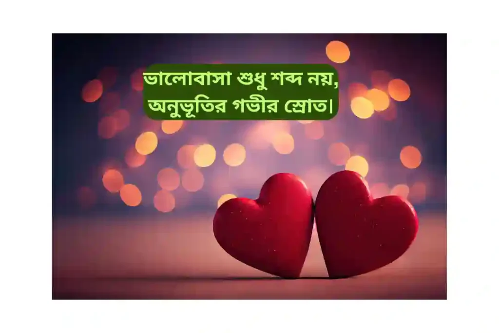 ক্যাপশন বাংলা ভালোবাসার
