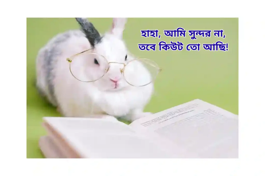 ক্যাপশন বাংলা স্টাইলিশ ফানি