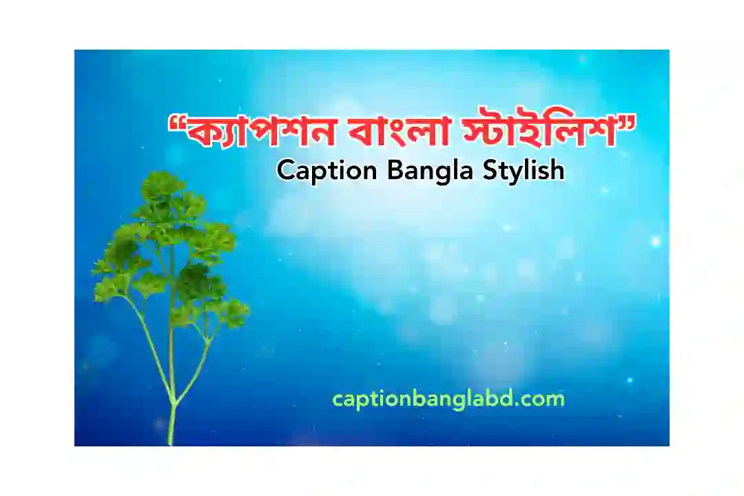 ক্যাপশন বাংলা স্টাইলিশ