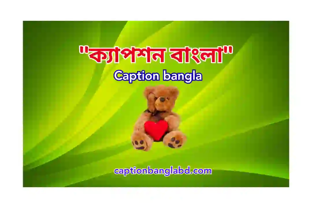 ক্যাপশন বাংলা