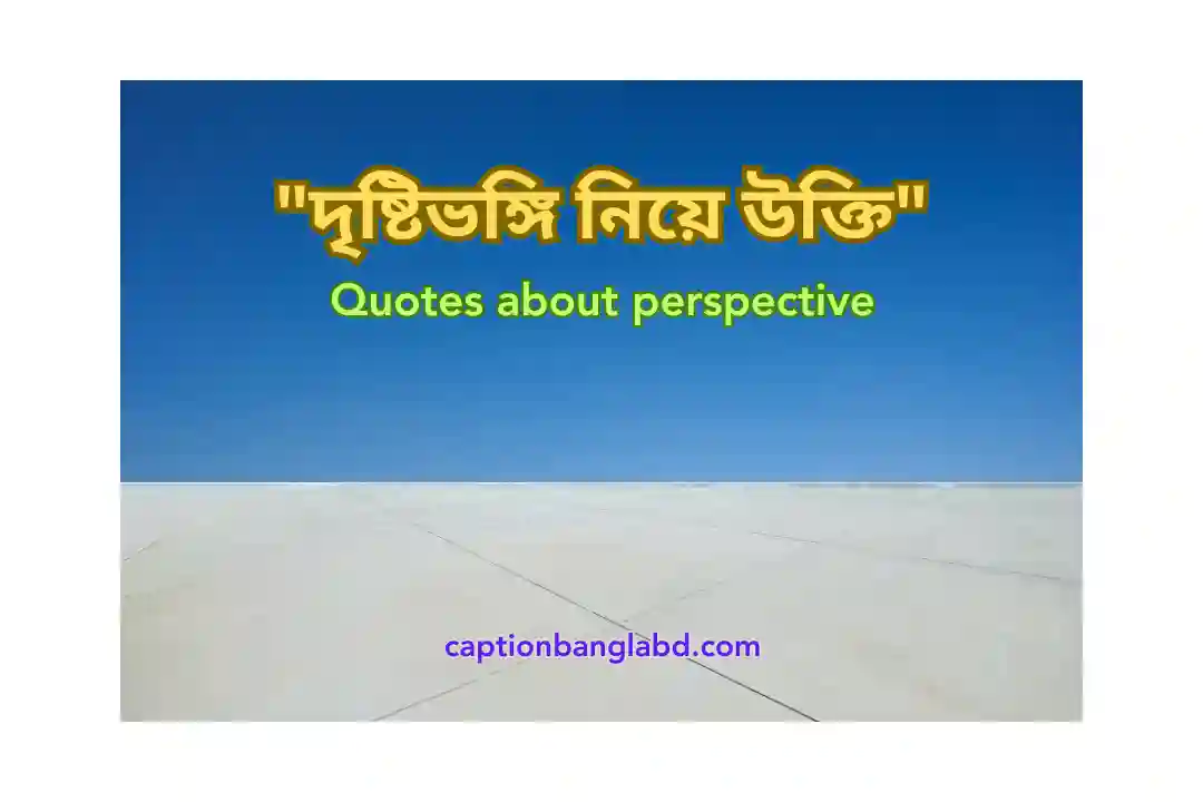 দৃষ্টিভঙ্গি নিয়ে উক্তি