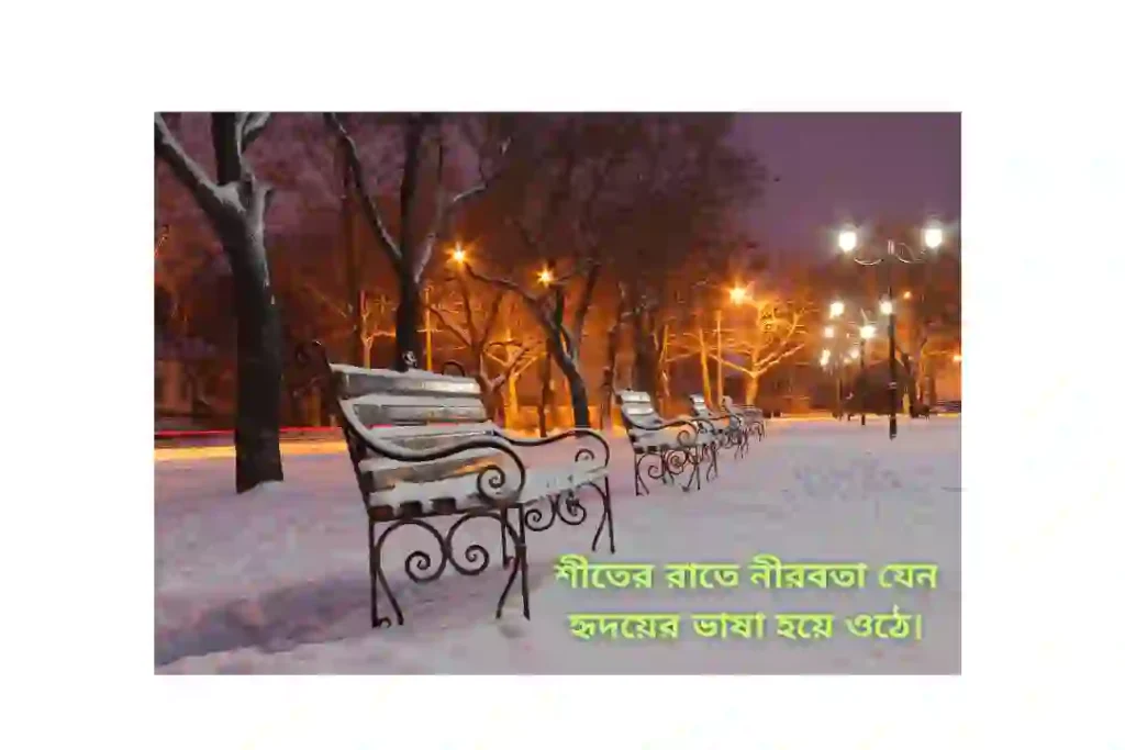 শীতের রাত নিয়ে ক্যাপশন